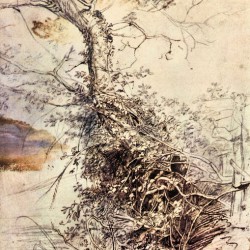 Study of Tree